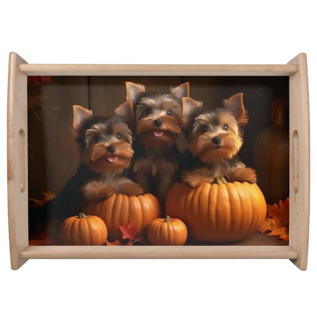 Yorkshire Terrier Puppy Autumn Delight Pumpkin  Serving Tray (Front)