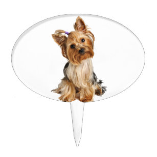Yorkshire Terrier Dog Mix comestible stand up Tranche Gâteau Toppers CHIOTS YORKSHIRES