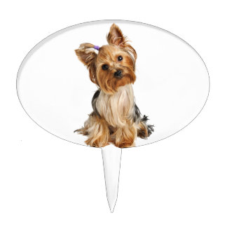 Yorkshire Terrier Puppy Cake Topper