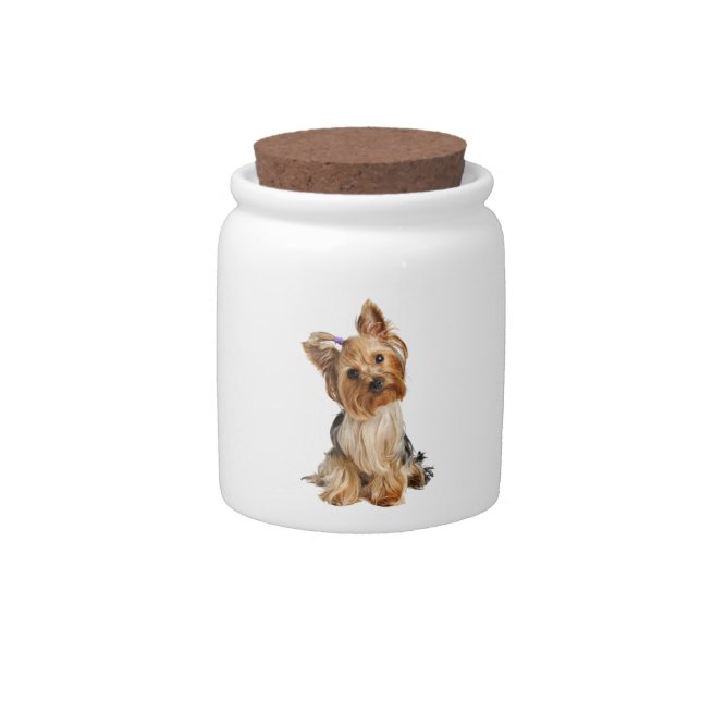 Yorkshire Terrier Puppy Candy Jar (Front)