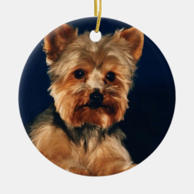Yorkshire Terrier Puppy Ceramic Ornament (Front)
