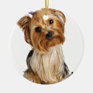 Yorkshire Terrier Puppy Ceramic Ornament