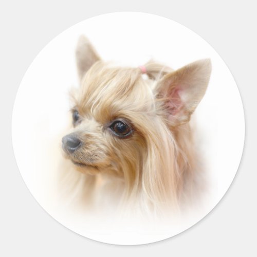 Yorkshire Terrier Puppy Classic Round Sticker