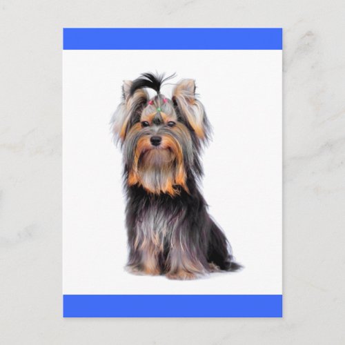 Yorkshire Terrier Puppy Dog Blank Blue Postcard