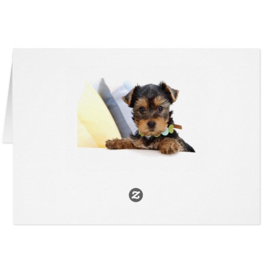 Yorkshire Terrier Puppy Dog Blank Card (Back Horizontal)