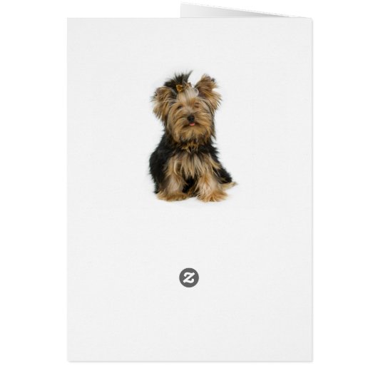 Yorkshire Terrier Puppy Dog Blank Card (Back)