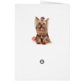 Yorkshire Terrier Puppy Dog Blank Card (Back)