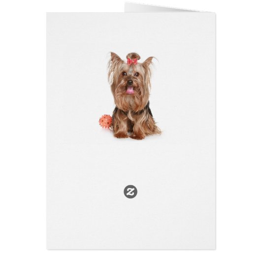 Yorkshire Terrier Puppy Dog Blank Card (Back)
