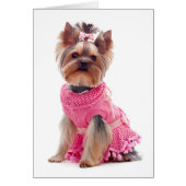 Yorkshire Terrier Puppy Dog Blank Card (Front)