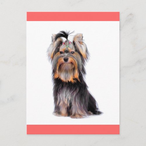 Yorkshire Terrier Puppy Dog Blank Pink Postcard