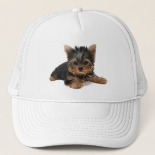 Yorkshire Hat Cute Puppy Dog Snapback Cap 