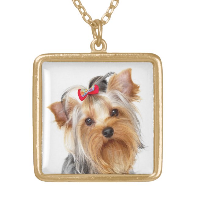 Yorkshire Terrier Puppy Dog Gold Necklace (Front)