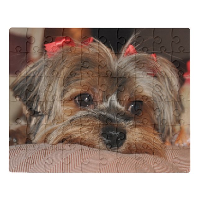 Yorkshire Terrier Puppy Jigsaw Puzzle (Puzzle Horizontal)