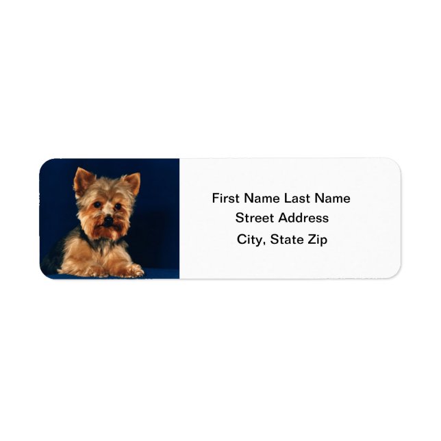 Yorkshire Terrier Puppy Label (Front)