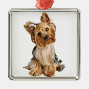 Yorkshire Terrier Puppy Metal Ornament