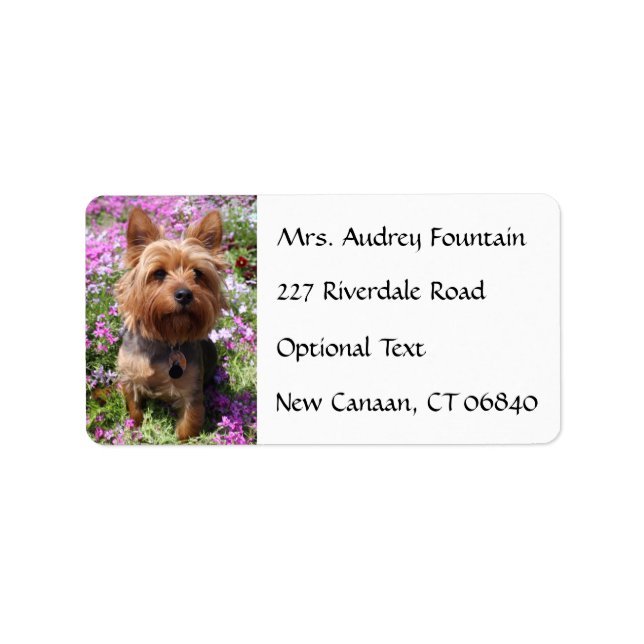 Yorkshire Terrier Puppy Name Address Mailing Label (Front)