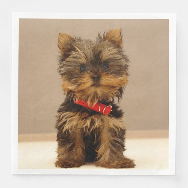 Yorkshire Terrier Puppy Paper Dinner Napkins (Front)