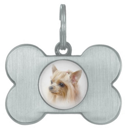 Yorkshire Terrier Puppy Pet ID Tag