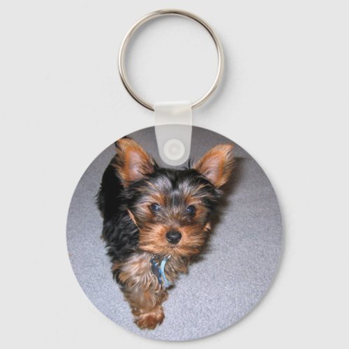 yorkshire terrier puppypng keychain