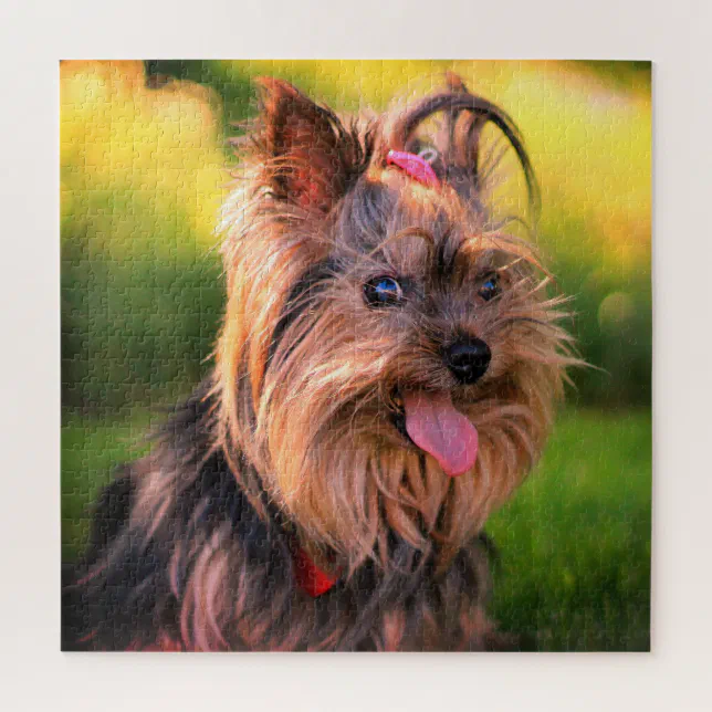 puzzle yorkshire terrier