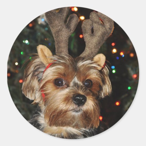 Yorkshire Terrier Round Sticker