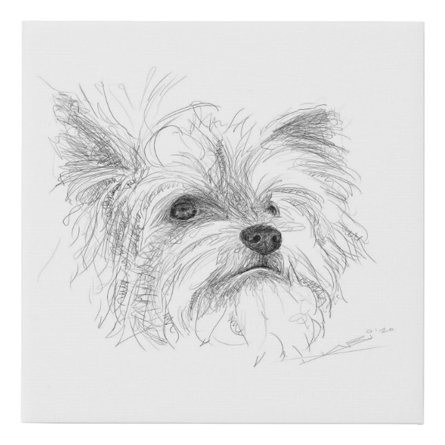 Yorkshire Terrier Scribble Sketch – Canvas Art Pri (Front)