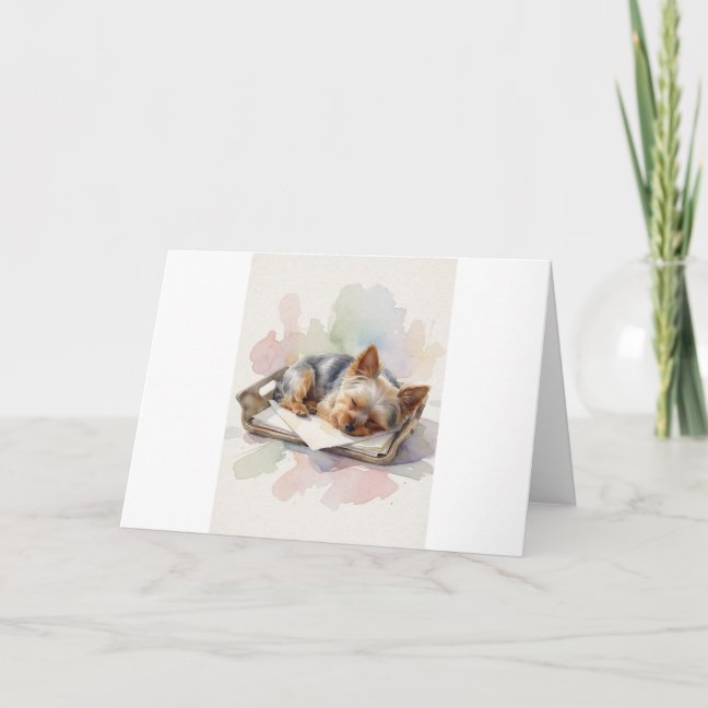 Yorkshire Terrier Collection — preview