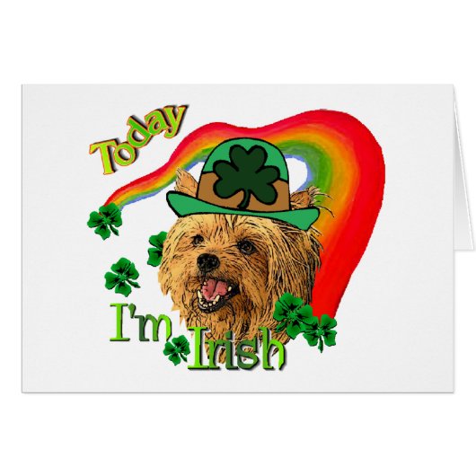 Yorkshire Terrier St Patricks (Front Horizontal)