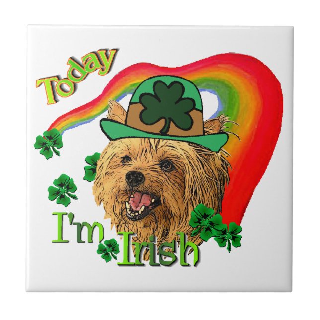 Yorkshire Terrier St Patricks Tile (Front)