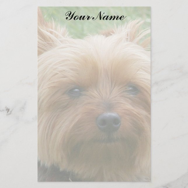 Yorkshire Terrier Stationery (Front)