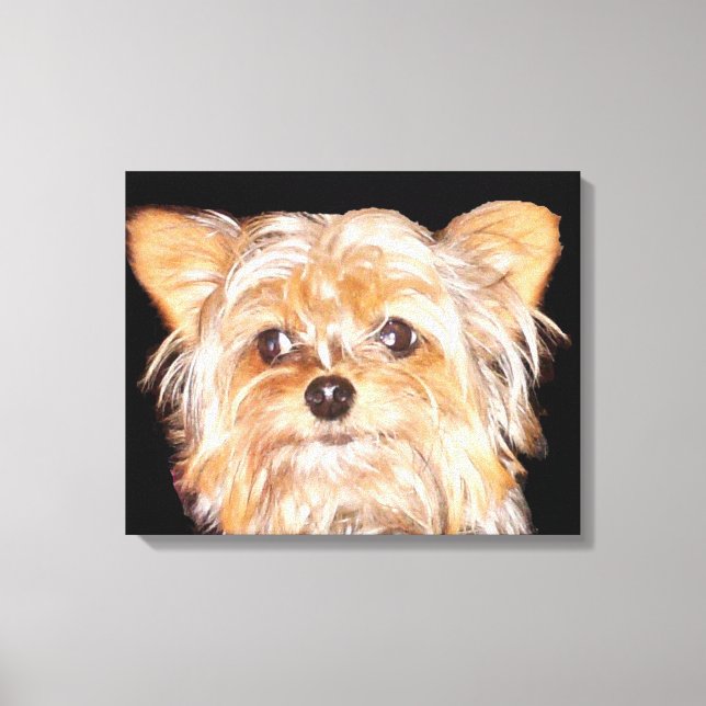 Yorkshire Terrier Stretched Canvas Print (Front)