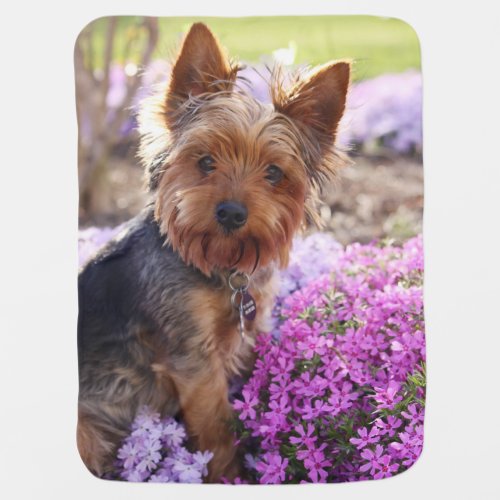 Yorkshire Terrier Stroller Blanket