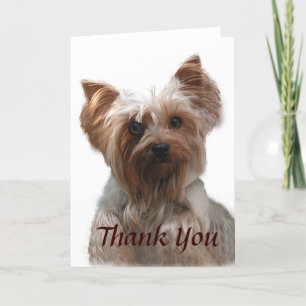 Yorkshire Terrier Thank You Card