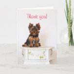 Yorkshire Terrier Thank You Card at Zazzle