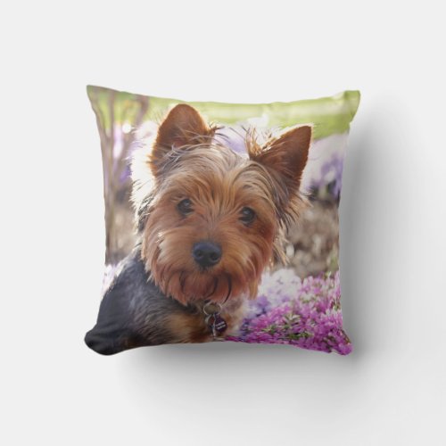 Yorkshire Terrier Throw Pillow