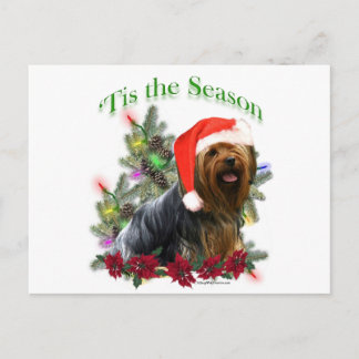 Yorkshire Terrier ‘Tis Postcard