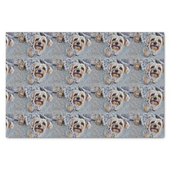 Yorkshire Terrier Tissue Paper by Iggys_World at Zazzle