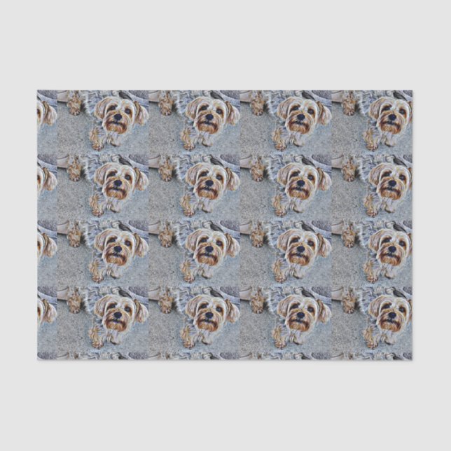 Yorkshire Terrier Tissue Paper (Front)