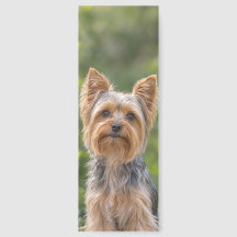 Yorkshire Terrier Tulip Garden Bookmark