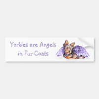 Yorkshire Terrier Yorkie Angel