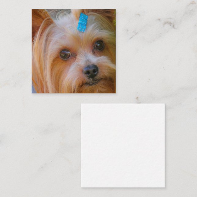 Yorkshire Terrier Yorkie Favourite Breed Enclosure Card (Front/Back)