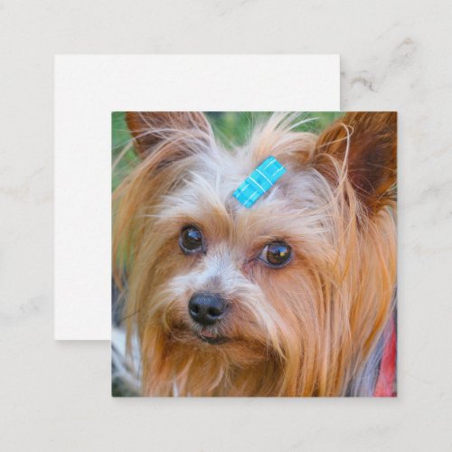 Yorkshire Terrier Yorkie Favourite Breed Enclosure Card