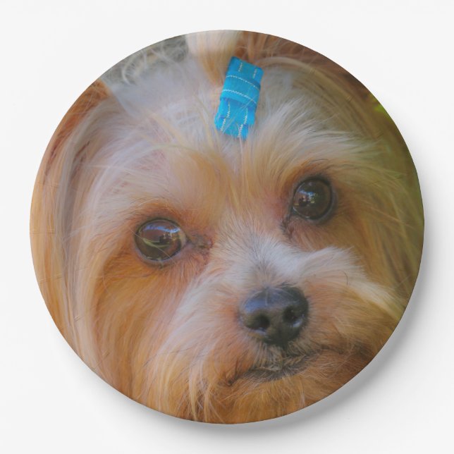 Yorkshire Terrier Yorkie Favourite Breed Paper Plates (Front)