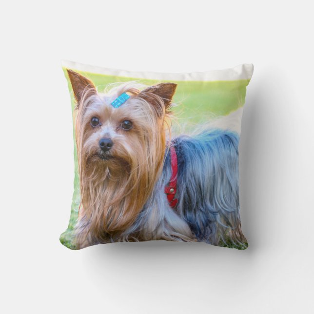 Yorkshire Terrier Yorkie Favourite Breed Throw Pillow (Front)