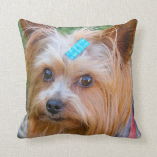 Yorkshire Terrier Yorkie Favourite Breed Throw Pillow