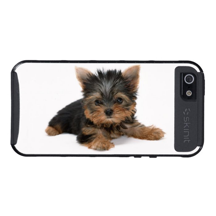 Yorkshire Terrier, yorkie puppy dog cute photo Case For iPhone 5