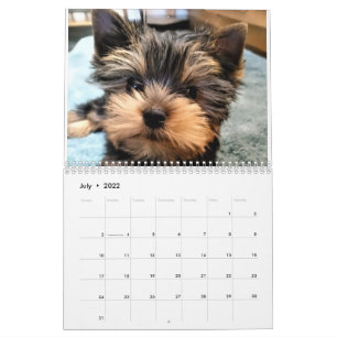 Yorkshire Terrier Yorkies 2022 Calendar