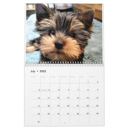 Yorkshire Terrier Yorkies  2022 Calendar