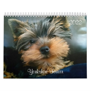Yorkshire Terrier Yorkies 2022 Calendar