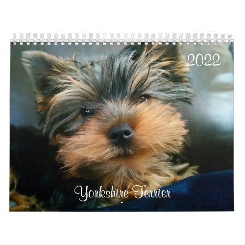 Yorkshire Terrier Yorkies  2022 Calendar